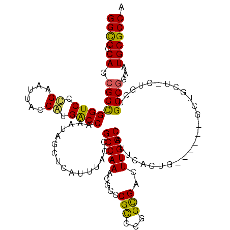 secondary structure