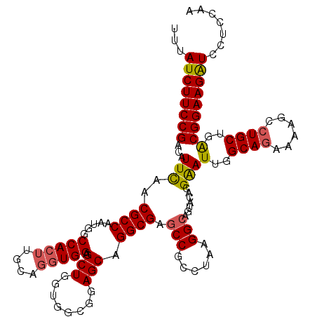 secondary structure