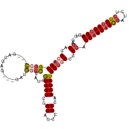 secondary structure