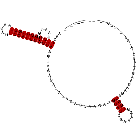 secondary structure