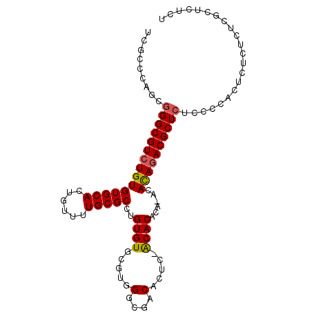 secondary structure