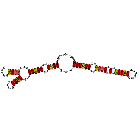secondary structure