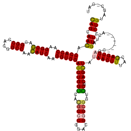 secondary structure
