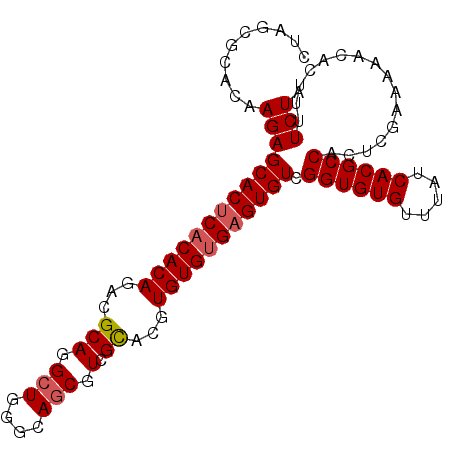 secondary structure