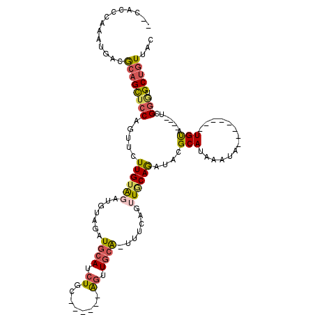 secondary structure