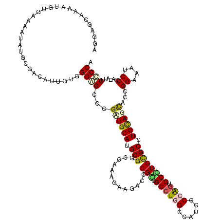 secondary structure