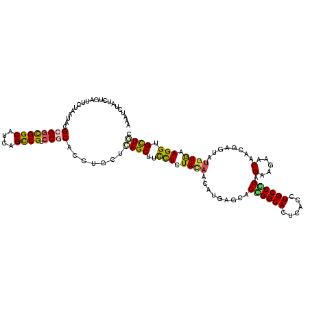 secondary structure