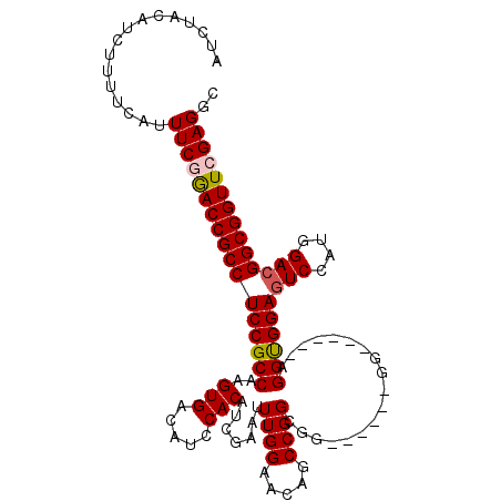 secondary structure