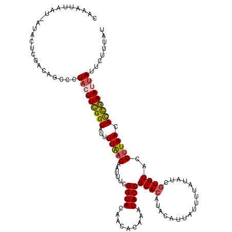 secondary structure
