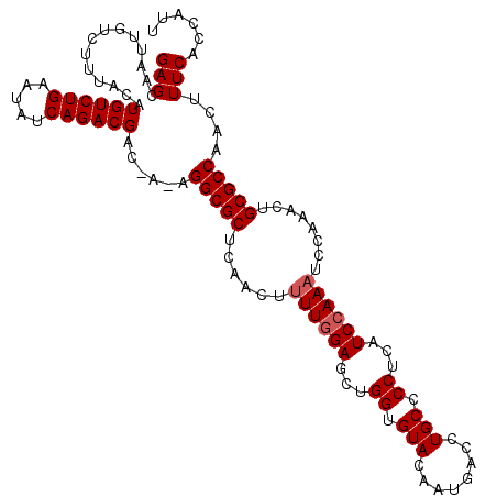 secondary structure