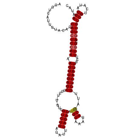 secondary structure