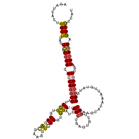 secondary structure