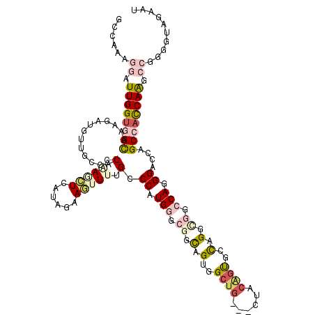 secondary structure