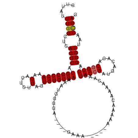 secondary structure