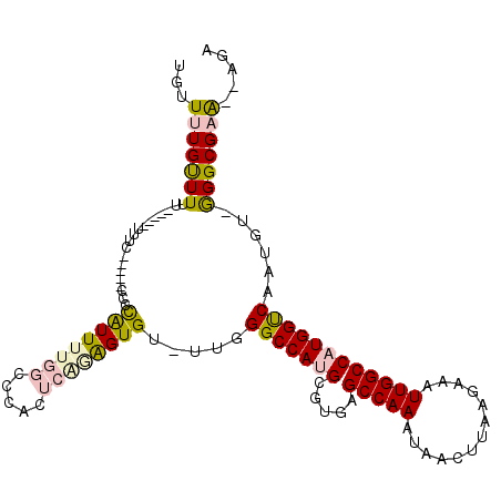 secondary structure