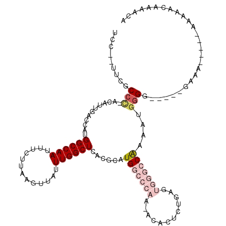 secondary structure