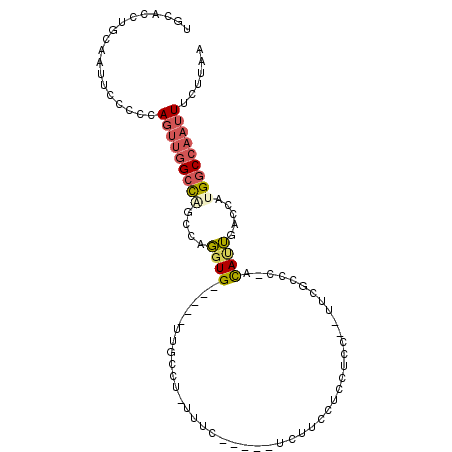 secondary structure