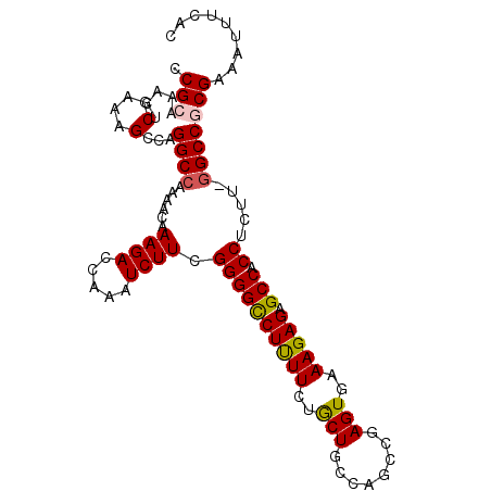 secondary structure