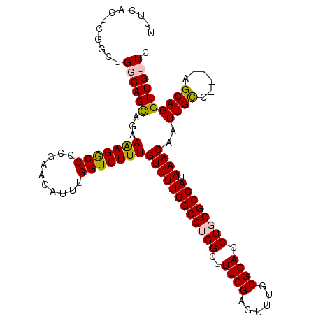 secondary structure