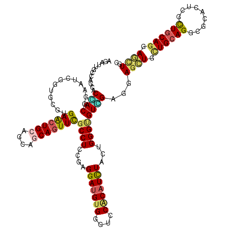 secondary structure