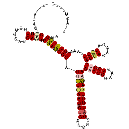 secondary structure