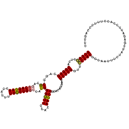 secondary structure