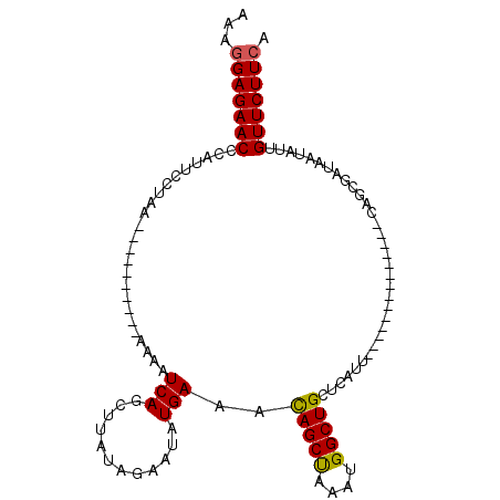 secondary structure