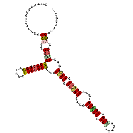secondary structure
