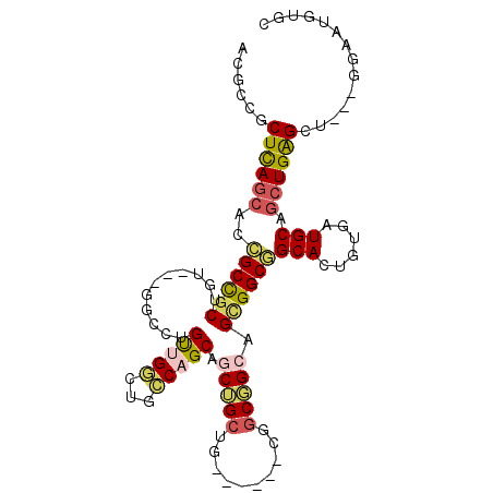 secondary structure