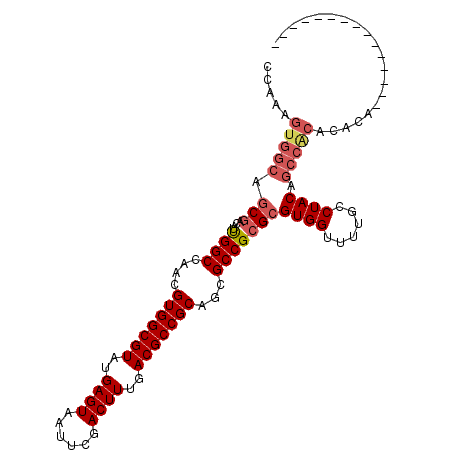 secondary structure