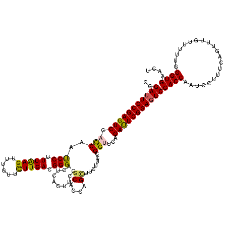 secondary structure