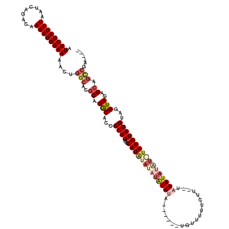 secondary structure