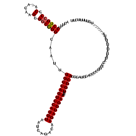 secondary structure