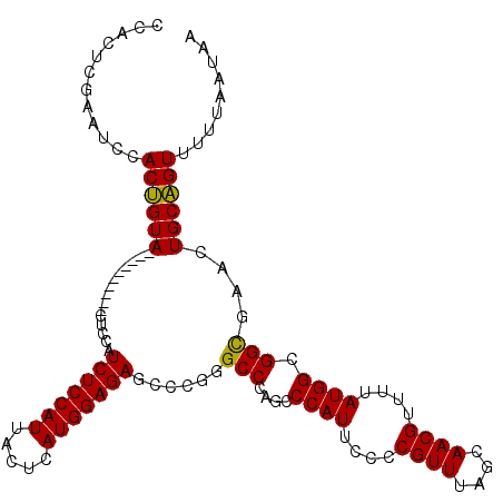 secondary structure