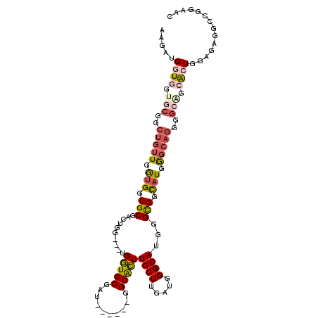 secondary structure