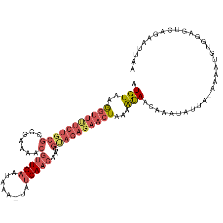 secondary structure