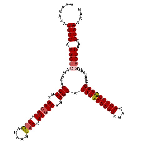 secondary structure