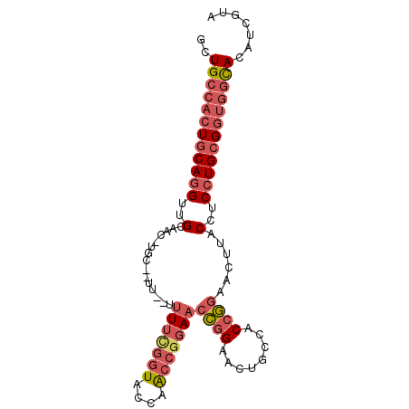 secondary structure
