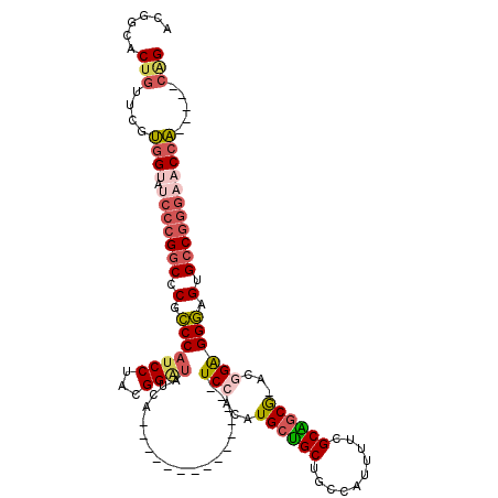 secondary structure