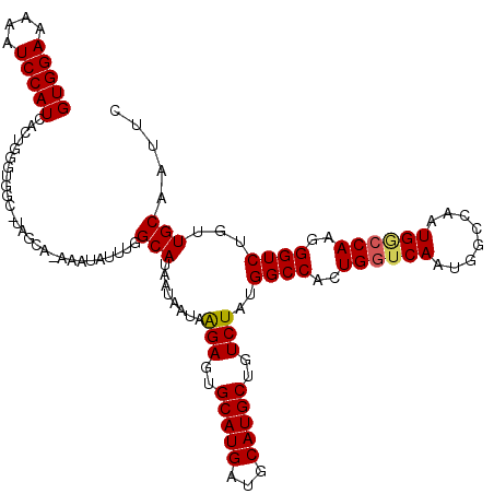 secondary structure