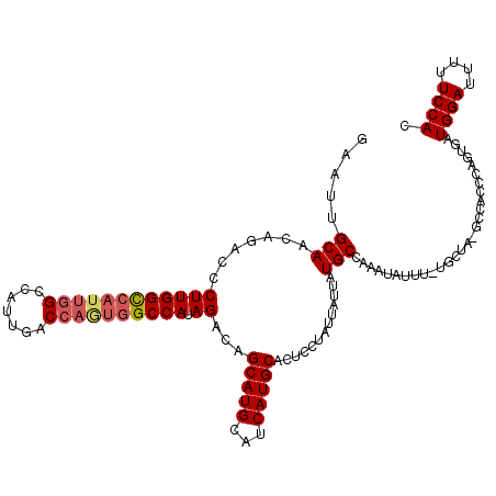 secondary structure