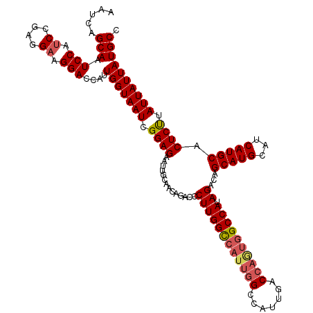 secondary structure