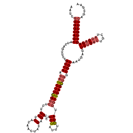 secondary structure