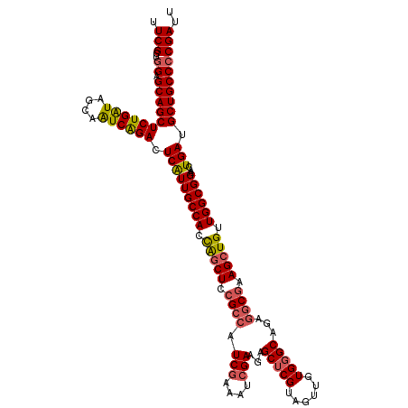 secondary structure