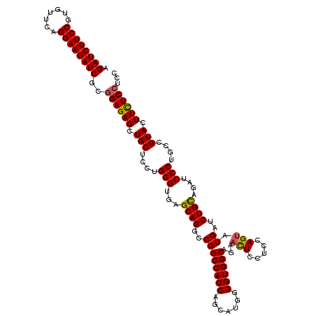 secondary structure