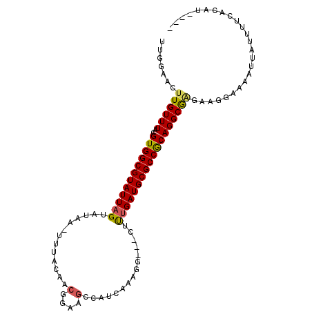 secondary structure
