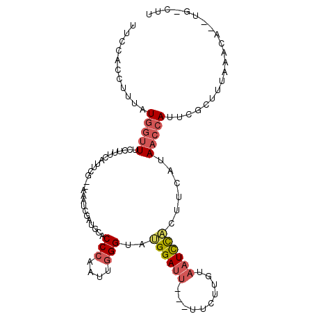 secondary structure
