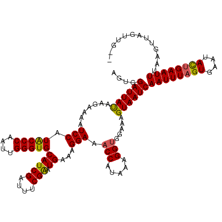 secondary structure