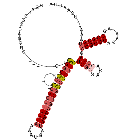 secondary structure