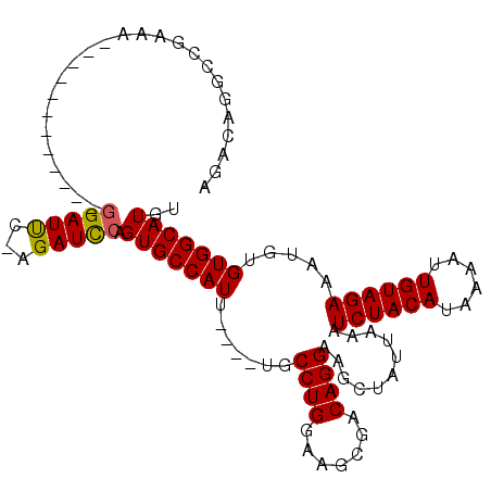secondary structure